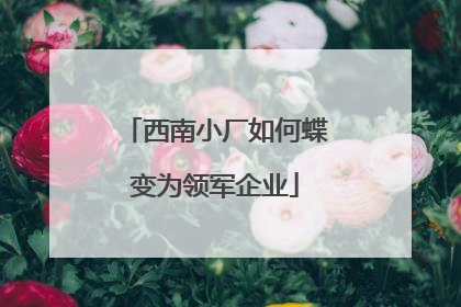 西南小厂如何蝶变为领军企业